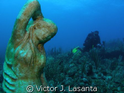 photographer luis in mermaid point dive site at parguera,... by Victor J. Lasanta 